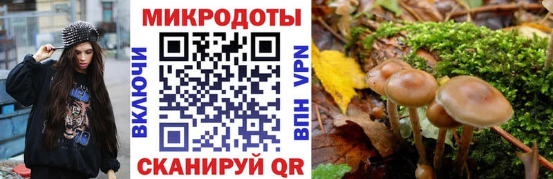 Галлюциногенные грибы MAGIC MUSHROOMS  Холм 